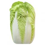 Cabbage, Napa